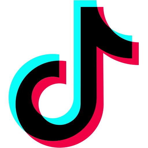 TikTok Icon